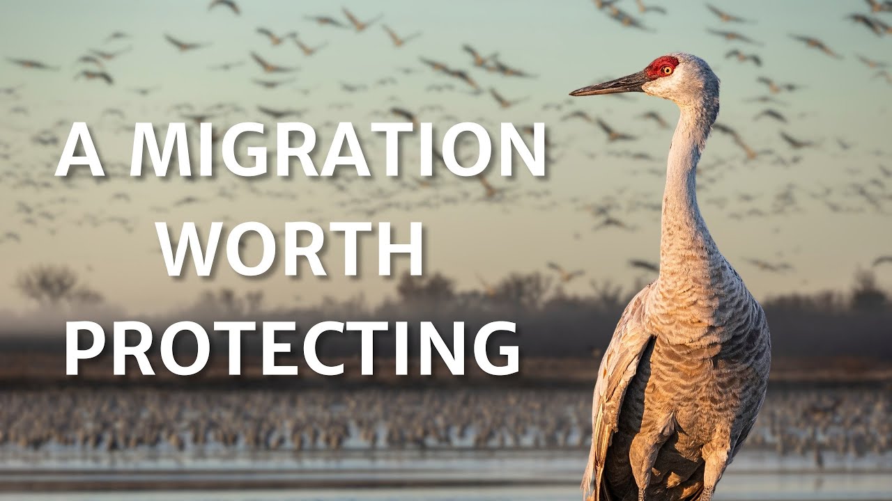 Welcome to Crane Trust