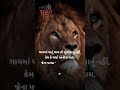 New Gujarati Status 2021 Status Attitude Havaj Gujarati Dayro Gujju Status Yt New Top 1