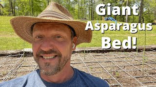 Giant Asparagus Bed! (How to Grow Asparagus) 2022