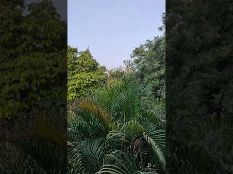 Karan Singh A Student's life