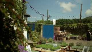 Annual Lavender Harvest Sale