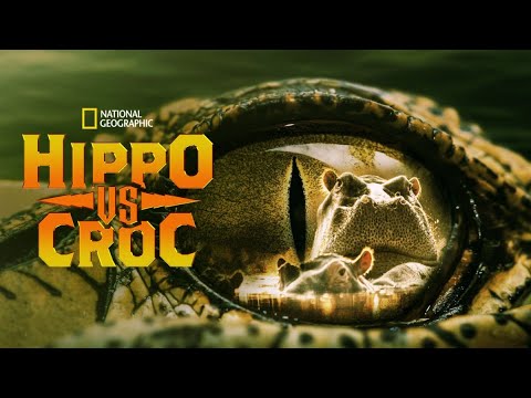 National Geographic - Hippo Vs Croc