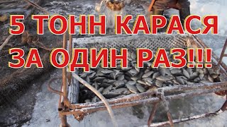 Клев рыбы в тюмени на 5 дней
