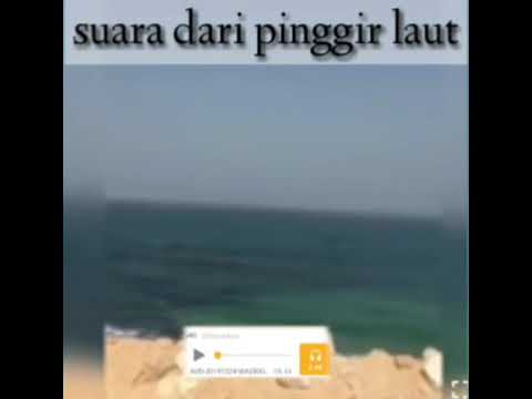 Ikan paus berzikir tolong sebarkan ya