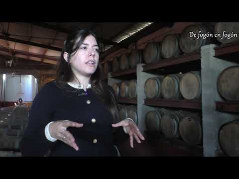 Sabrina Ariano, Enóloga. Cuarta generación de bodegueros en Canelones, ARIANO HERMANOS SA