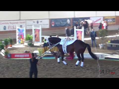 Gwendolyn Groller (GER), cvi Portogruaro 2018