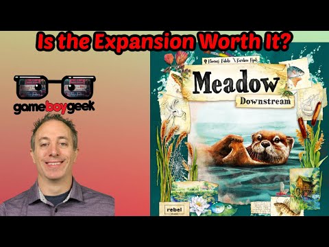 Meadow Downstream Review