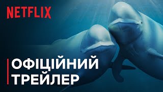 Наші океани | Барак Обама | Офіційний трейлер | Netflix