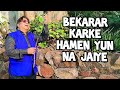 Bekarar Karke Hume Yun Na Jaiye | Hemant Kumar Rare Song | Bees Saal Baad