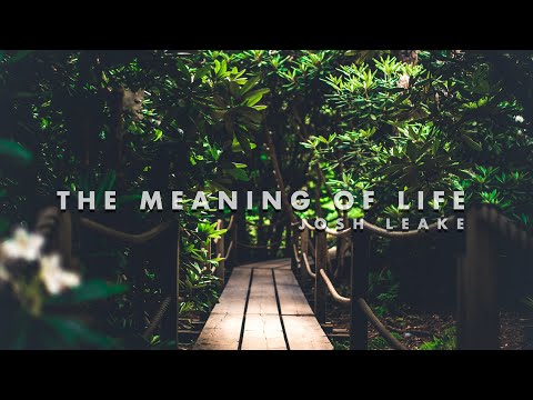 Josh Leake - 'The Meaning Of Life' | 30 Minutes of SLEEP/STUDY/RELAX