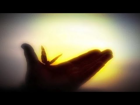 Emericvs - Ballad of the Fairy (official video)