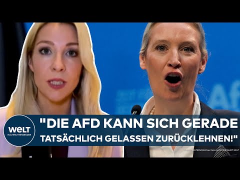 DEUTSCHLAND: "Die AfD kann sich gerade tatsächlich gelassen zurücklehnen!" Weidel im Höhenflug!