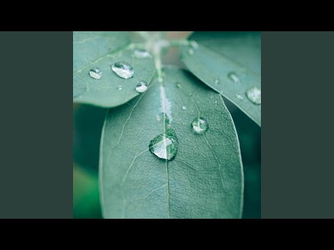 Great Sleep Bringer for Young Ones