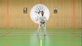 preview picture of video 'Kata Suparenpei, Hanshi Ingo de Jong, 2012, Goju-kai Karate-do'