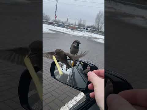 Время обедать