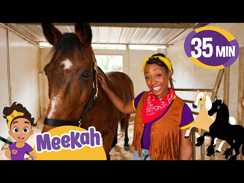 Horse Care Day with Cowgirl Meekah! | Educational Videos for Kids | Blippi and Meekah Kids TV