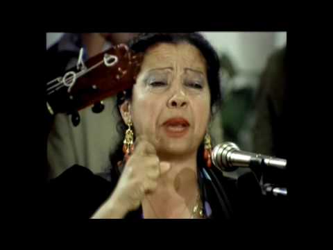 FIESTA GITANA EN MORÓN DE LA FRONTERA 1.984 - ALEGATO A FAVOR DE LA PUREZA