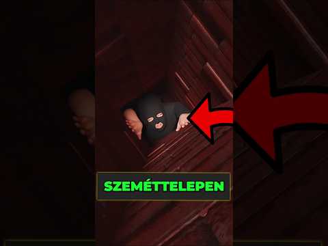 Ne mássz bele, ha ezt látod!!! 😨