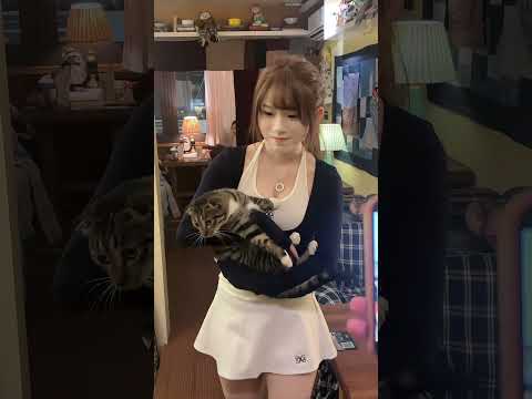 好可爱的小猫咪 #vlog
