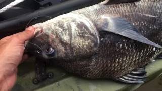 The Sound of Black Drum