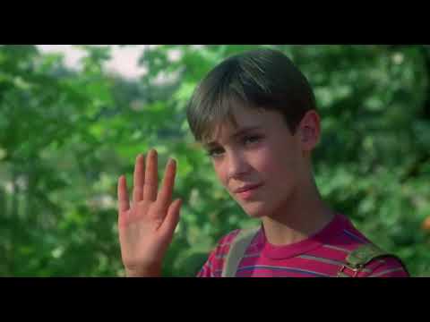 Dal film Stand by me - Scena finale 🎬