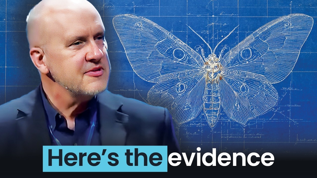 The Butterfly Was Designed