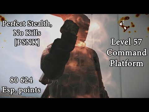 Infiltrating a Level 57 Command Platform [80 624 Esp. points, PSNK]