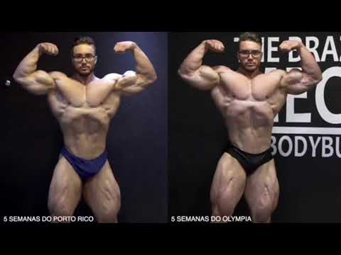 Atualização SHAPE do Gabriel Zancanelli