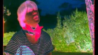 The Go! Team - Ready To Go Steady