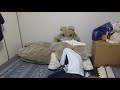 Fursuit Vore Ass Of Vore 着ぐるみボア 尻ボアバージョン