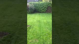 Lawn Care