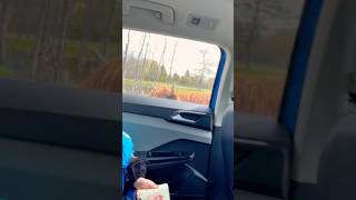 【モントリオール家族】 Family Visit from Japan 🇯🇵 → Safari Adventure in Montreal 🦒#カナダ生活