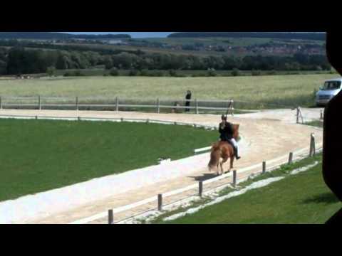 OSI Hirtenhof 2011 - Frauke Schenzel & Tígull T1 - isibless