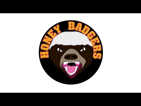 Honey Badgers (Glendale Softball) 10.28.2014