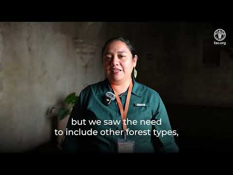 Florencia Guerra, National Forest Inventory Specialist (Belize)