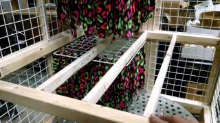 Guinea Pig Habitat: Building a 3 Story Guinea Pig Cage