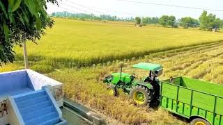 Straight way Romey maan