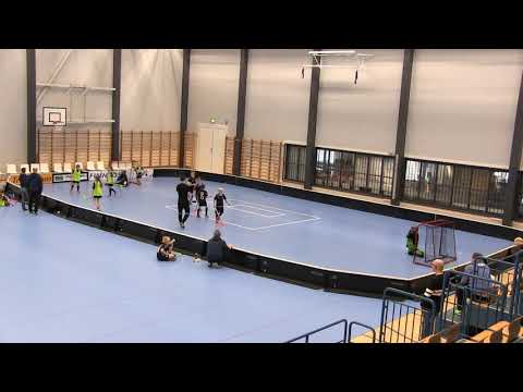 Säbä Pirkat F-Tytöt  minipeliturnaus 2.2.2019