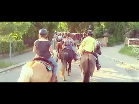 MUSTANG MAKEOVER 2018 Team Cathleen (TAG 3299) - Update 3