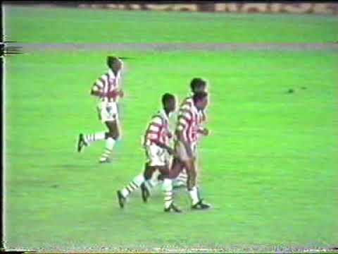 Goles Brasileros 1993