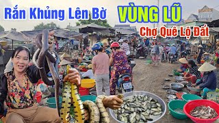 VÙNG LŨ CUỐI NGUỒN RẮN KHỦNG LÊN BỜ - BÀ CON XÚM LẠI BỜ ĐẤT BÁN TOÀN CÁ ĐỒNG Ở CHỢ MỸ PHƯỚC TÂY