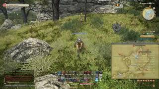 Final Fantasy XIV  Galago