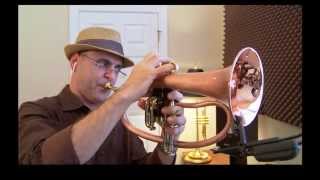 Download lagu Feels So Good-Chuck Mangione ( Tribute/Cover) backing track mp3