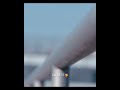 Tear In Heaven ️ I Am Always There For You Tamil Bgm Edit ABI EDITZ