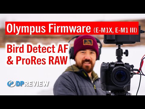 Olympus Firmware Updates: Bird Tracking and ProRes Raw