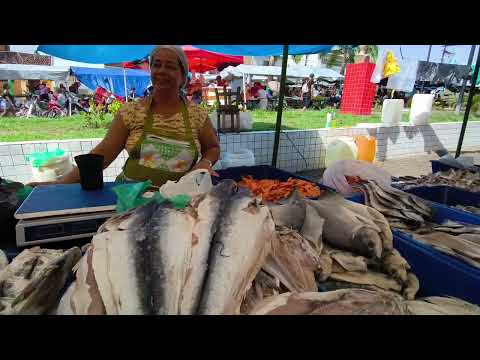 Última feira-livre 28/03/2026 com chuva em Joaquim Gomes-AL. 