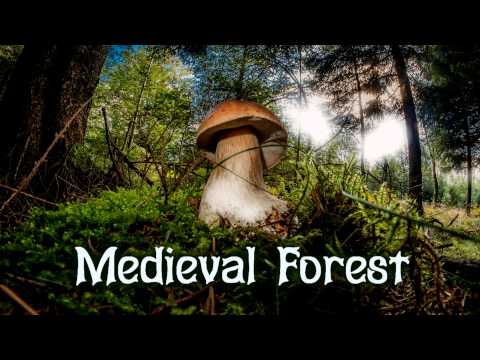 Royalty Free Trailer Music #34 (Medieval Forest) Orchestra/Choir/Violin