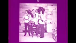 West Virginia Bluegrass [1973] - The Butler Brothers
