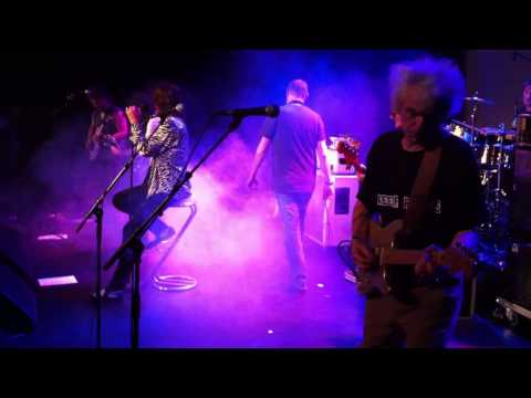 The Stonez - Wild Horses