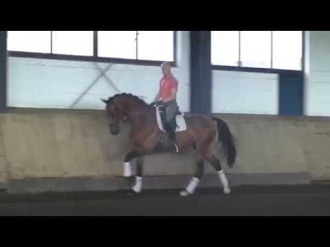 Wallach von Bordeaux